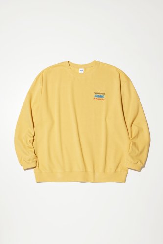 <img class='new_mark_img1' src='https://img.shop-pro.jp/img/new/icons15.gif' style='border:none;display:inline;margin:0px;padding:0px;width:auto;' />RADIALL ǥ88 POSSE - CREW NECK SWEATSHIRT L/STAUPE