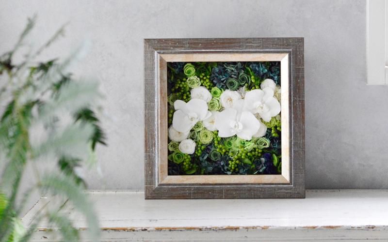 ɳݤץꥶ֥ɥե Ƚˤ