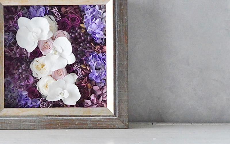 ɤץꥶ֥ɥեۡĳ