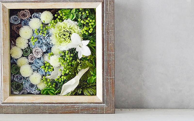 ɳݤץꥶ֥ɥեۡꥢ