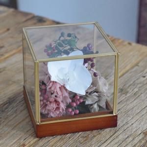 դĤβַʡå饹ܥå ץꥶ֥ɥե