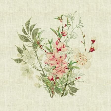 ʥץ˥֥  ꥸ ʥ(4祻å)<img class='new_mark_img2' src='https://img.shop-pro.jp/img/new/icons7.gif' style='border:none;display:inline;margin:0px;padding:0px;width:auto;' />