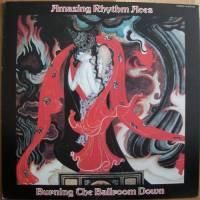 Amazing Rhythm Aces / Burning The Ballroom Down (JP)