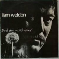 Liam Weldon / Dark Horse on the Wind