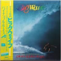 BIG WAVE('84米) 音楽・山下達郎/パイナップル・ボーイズ 177370004.jpg?cmsp_timestamp=