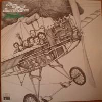 Flying Burrito Brothers / Live In Amsterdam (2LPs)