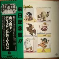 David Bromberg / Reckless Abandon (����������)