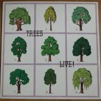 Trees / Live!