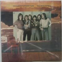 Sanford/Townsend Band,The /Nail Me To The Wall
