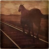 Bruce Cockburn / Night Vision (Canada)