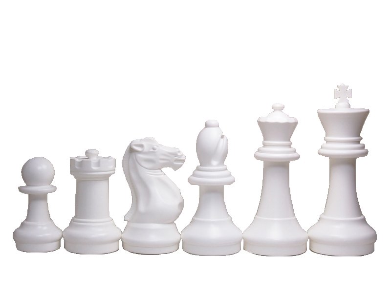 市場 Dnaを持つ男性のためのキングチェスの駒とチェスギフト
