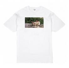 <img class='new_mark_img1' src='https://img.shop-pro.jp/img/new/icons50.gif' style='border:none;display:inline;margin:0px;padding:0px;width:auto;' />ACAPULCO GOLD 