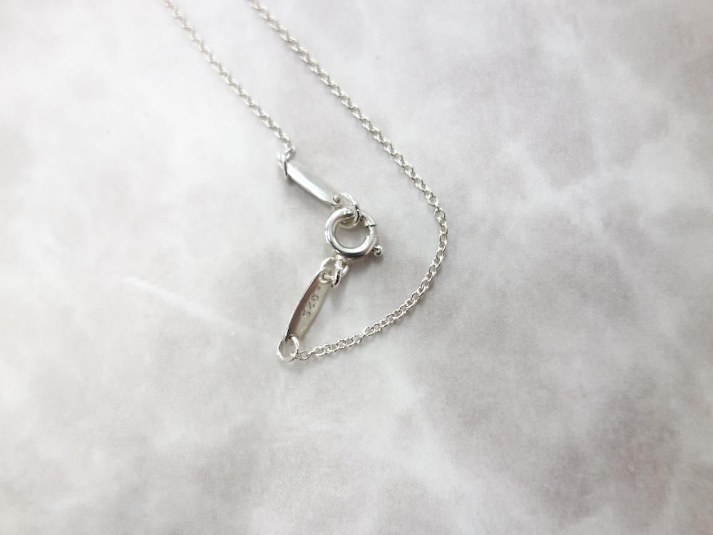 <img class='new_mark_img1' src='https://img.shop-pro.jp/img/new/icons15.gif' style='border:none;display:inline;margin:0px;padding:0px;width:auto;' />Tiffany & Co  ƥեˡ ֥롼  ͥå쥹silver925  USED