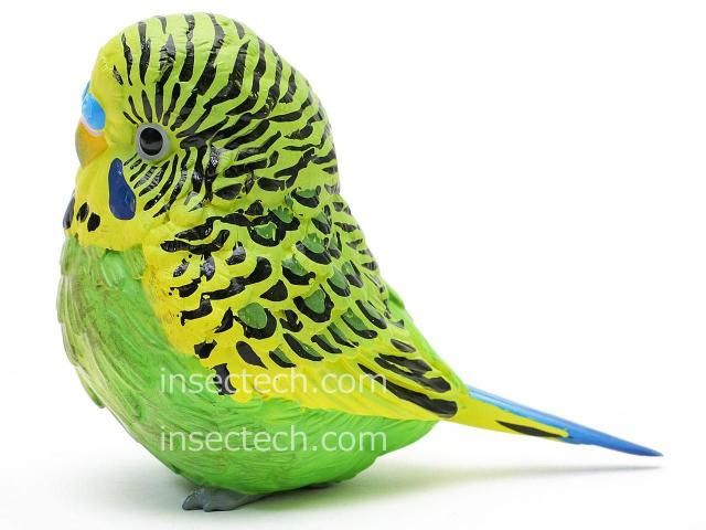 動物の惑星】セキセイインコ（緑）フィギュア - 昆虫採集・昆虫