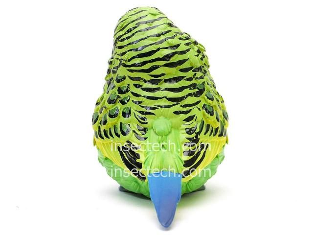 動物の惑星】セキセイインコ（緑）フィギュア - 昆虫採集・昆虫標本