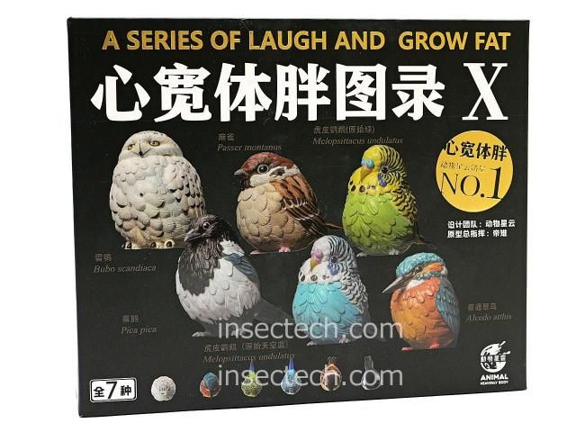 流れ星様♥️セキセイインコ 印鑑スタンド スマホスタンド 鳥（セキセイインコ） (水色) /【Buyee】 Buyee