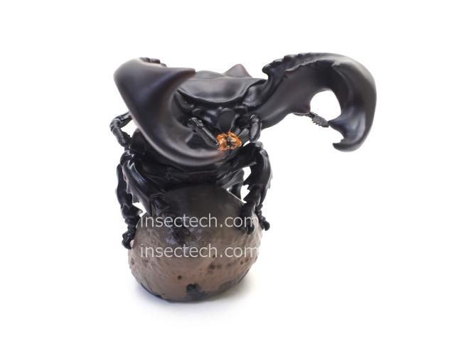 動物の惑星】パリーフタマタクワガタ フィギュア - 昆虫採集・昆虫標本