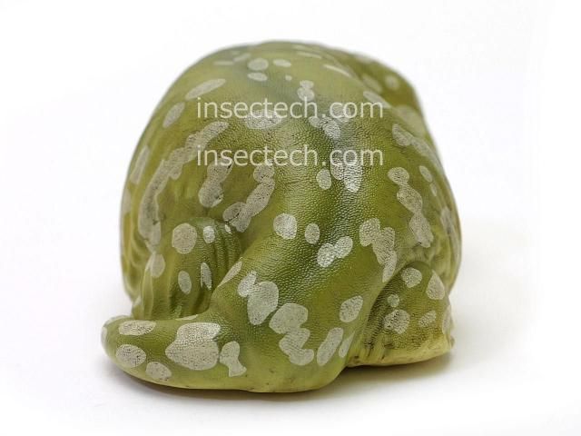 1点物 タモリ sato ユンケル フィギュア 2025年最新】ユンケルタモリの人気アイテム - メルカリ