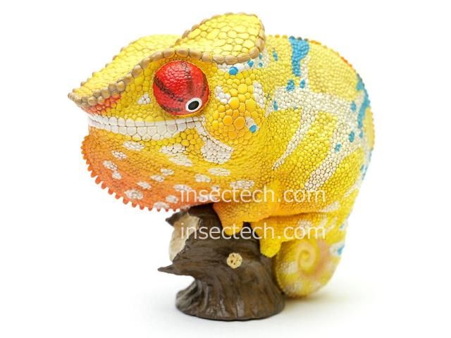 真工房　カメレオンフィギュア ハンドメイド 動物の惑星】パンサーカメレオン（ノシミチオ） フィギュア - 昆虫採集