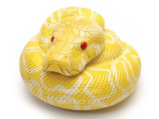 動物の惑星】ビルマシキヘビ（アルビノ）フィギュア - 昆虫採集