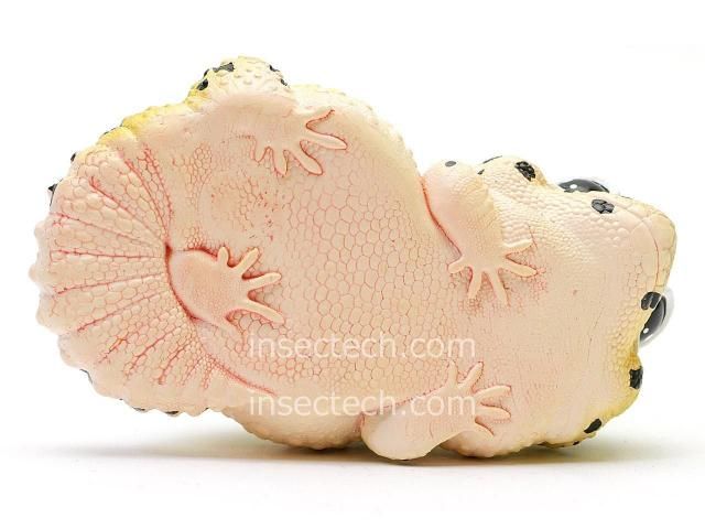 新発売の 動物の惑星】ヒョウモントカゲモドキ（ノーマル）フィギュア その他