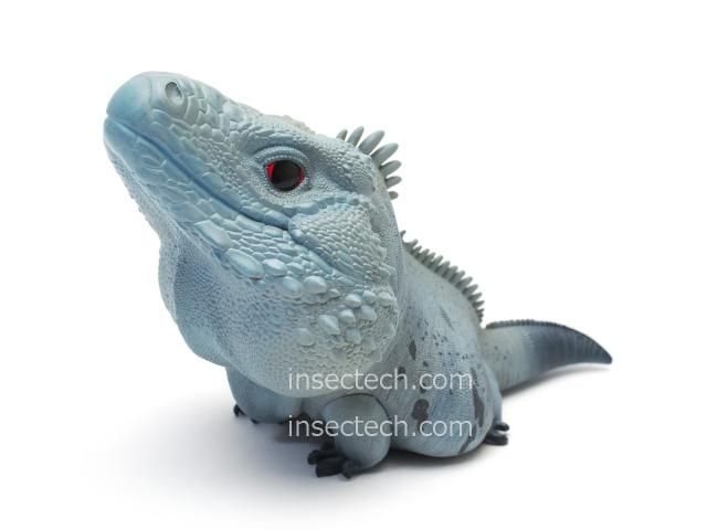Amazon | 限定品 動物の惑星 アニマルプラネット 爬虫類