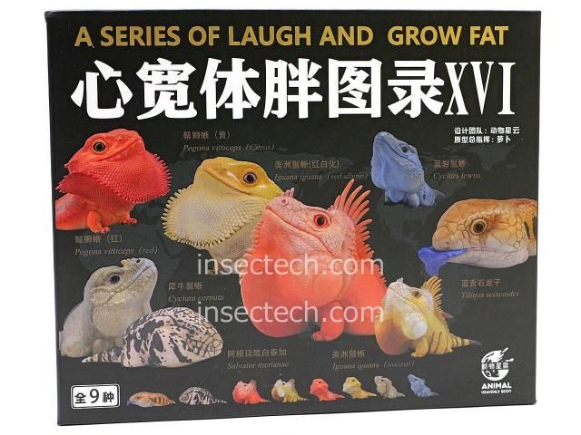 動物の惑星】ブルーイグアナ フィギュア - 昆虫採集・昆虫標本用品