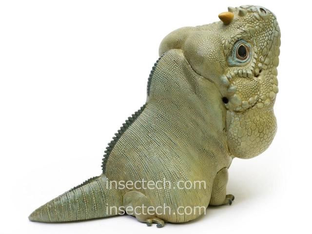 動物の惑星】サイイグアナ フィギュア - 昆虫採集・昆虫標本用品