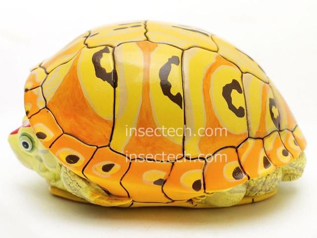 動物の惑星】アカミミガメ（孔雀明王）フィギュア - 昆虫採集・昆虫