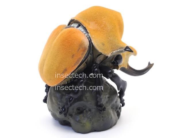 動物の惑星】エレファスゾウカブト フィギュア - 昆虫採集・昆虫標本