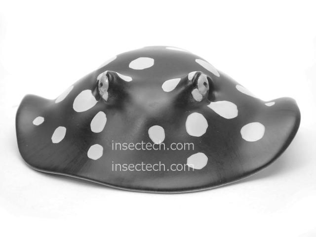 動物の惑星】ポルカドット・スティングレイ フィギュア - 昆虫採集