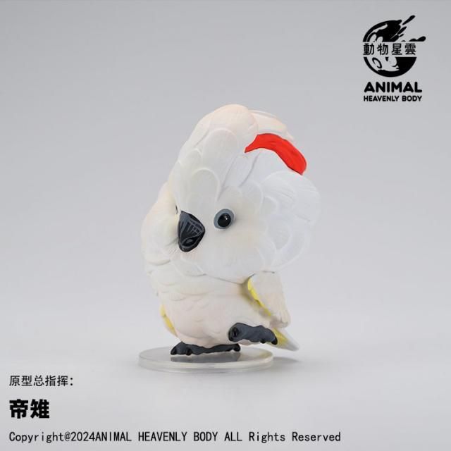 不思議な動物の置物　フィギュア フィギュア専門店 -ソダチトイズ / Mr.Z 1/6 アラブ馬 5種 動物