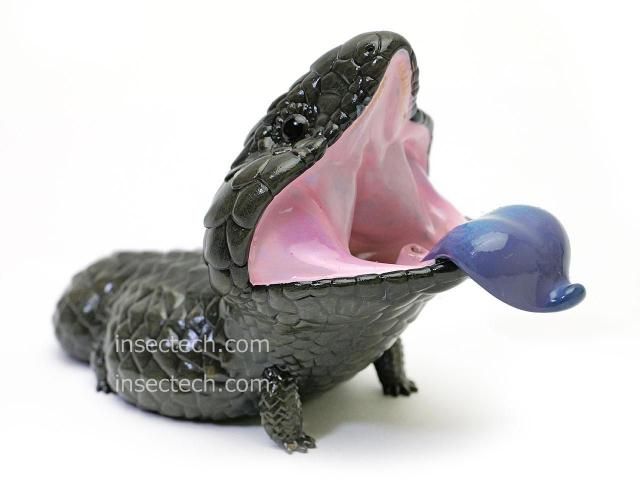 動物の惑星】「シークレット」ヒガシマツカサトカゲ フィギュア - 昆虫