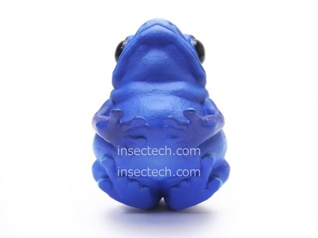 動物の惑星】コバルトヤドクガエル フィギュア - 昆虫採集・昆虫