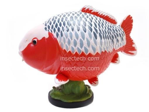 動物の惑星】錦鯉（浅黄）フィギュア - 昆虫採集・昆虫標本用品【昆虫