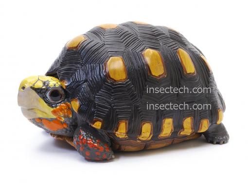 【動物の惑星】スーパーレア★ヤドク+ガメ+ヘビ★廃盤品&限定品!!フィギュア 61+dhwB2TPL._UF350,350_QL80_.jpg