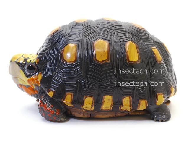 動物の惑星】アカアシガメ フィギュア - 昆虫採集・昆虫標本用品