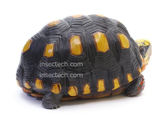 動物の惑星】アカアシガメ フィギュア - 昆虫採集・昆虫標本用品