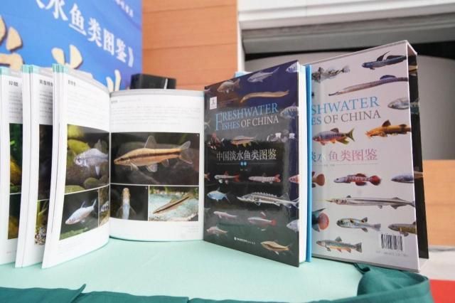 お振込限定ご予約】中国淡水魚類図鑑上下二巻セット（中国語