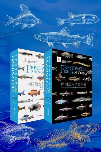 日本の淡水魚図鑑 | 株式会社誠文堂新光社