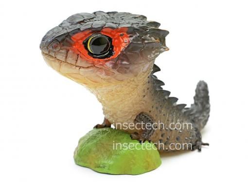 【動物の惑星】超超超激レア! トカゲ限定品&シークレット&廃盤品★フィギュア 動物の惑星】アカメカブトトカゲ フィギュア - 昆虫採集・昆虫標本用品