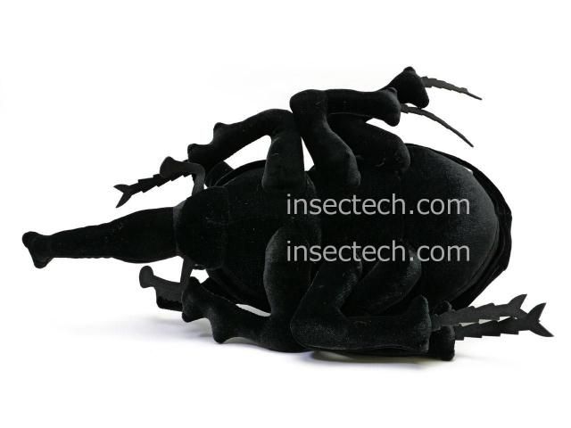 新！【Insectech Stuffies】アクティオン（レックス）ゾウカブト