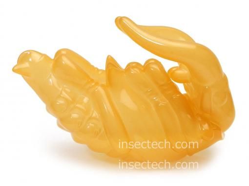 DIG】ノコギリクワガタのさなぎ ソフビ - 昆虫採集・昆虫標本用品