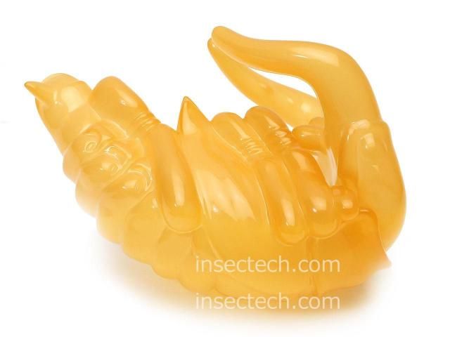 新！【DIG】ノコギリクワガタのさなぎ ソフビ - 昆虫採集・昆虫