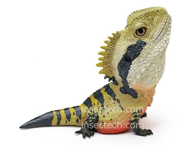 動物の惑星】「シークレット」ヒガシウォータードラゴン フィギュア