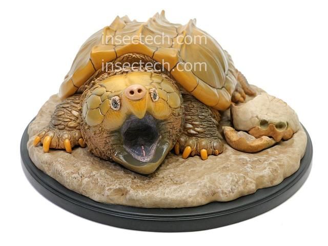 ワニガメフィギュア 動物の惑星 写実シリーズ】第一弾 初回頭骨付属 ワニガメ フィギュア