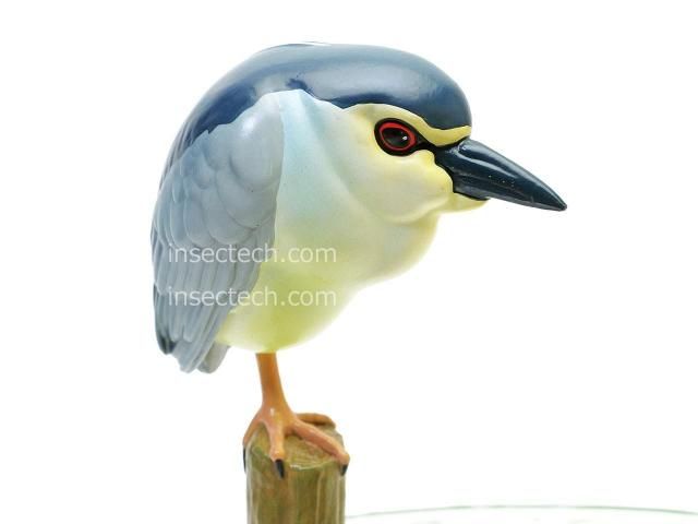 【動物の惑星】★上海展覧会限定ハコガメ2種類★ジオラマ第3、4弾! フィギュア 動物の惑星 ワニガメPLUS(グリーン) ラスト1体 2024亀谷展