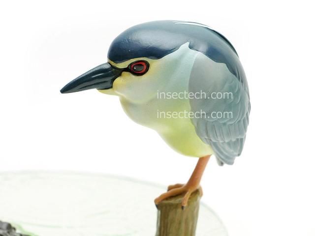 新！【動物の惑星ジオラマシリーズ】第三弾 初回限定ゴイサギ