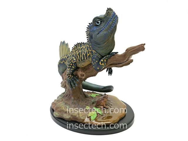 新！【動物の惑星ジオラマシリーズ】第四弾 フィリピンホカケ