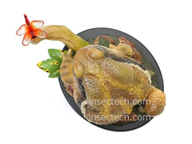 新！【動物の惑星ジオラマシリーズ】第五弾 初回限定カマキリ付属